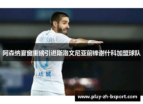 阿森纳夏窗重磅引进斯洛文尼亚前锋谢什科加盟球队