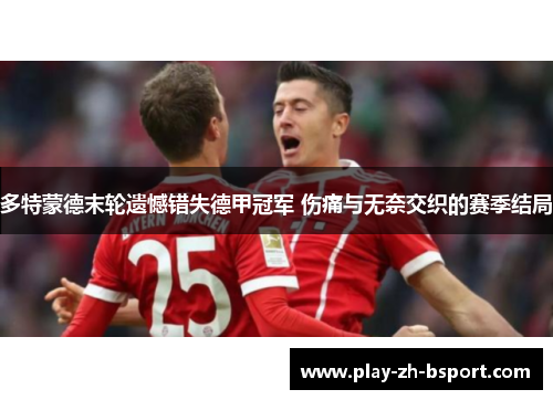 多特蒙德末轮遗憾错失德甲冠军 伤痛与无奈交织的赛季结局 多特蒙德末轮遗憾错失德甲冠军 伤痛与无奈交织的赛季结局